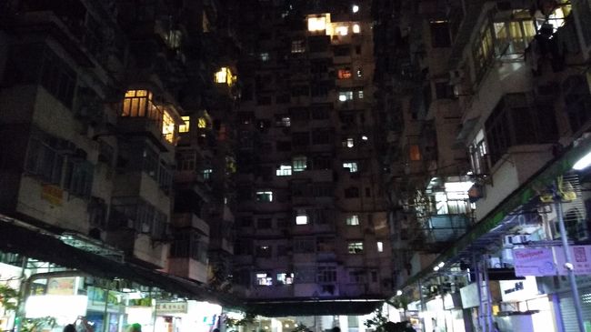 入れたのはいいのですが、ばばじのスマホカメラではこれが限界。<br />