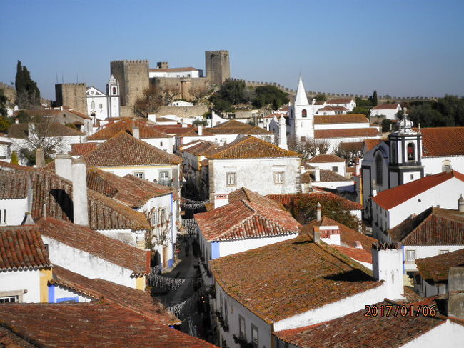 城壁の上から見るオビドスの街。