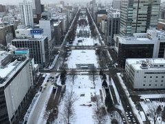 テレビ塔の展望台からの景色。お天気はあまり良くないですが、札幌市内が一望できました！