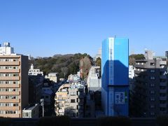 正面の森は肥後細川庭園。