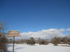 ほどなくして大沼公園に到着しました。