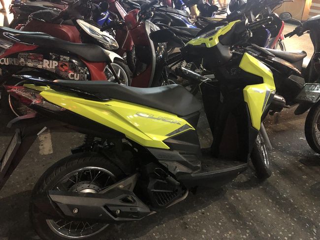 レンタルバイク（24h250B）