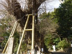 まずは五所神社へ
縁起は古く、奈良時代までさかのぼるんだそう

湯河原駅からバスで4つ目くらいだけど、お散歩がてら歩いて行ってみよう

