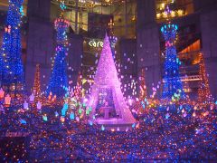 Caretta Illumination 2018
～ ディズニーMovieNEX プリンセスイルミネーション ～

今年は見られないと思ってたけど、見られて良かった＾＾♪

