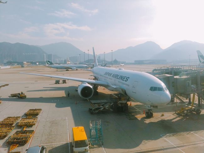 帰りの飛行機です。