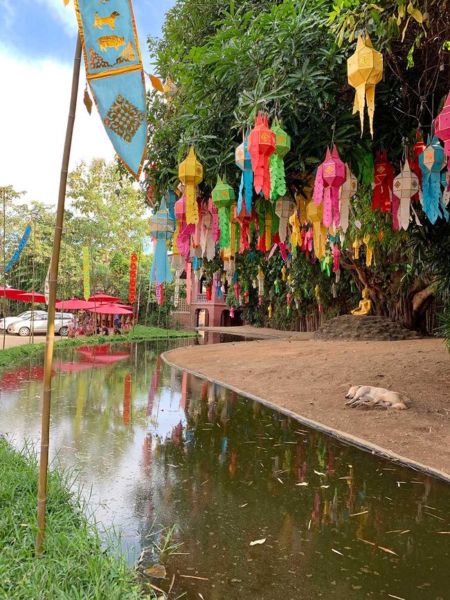 ここ、境内の装飾がすごいの。