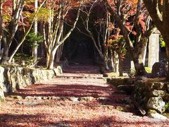 鶏足寺
住　所　長浜市木之本町古橋
駐車場　紅葉時には臨時駐車場有
時　間　9:00～16:00最終入場15：30頃推奨。
　　　　陽が落ち、うす暗くなってからの入山は危険です。
入場料　紅葉散策協力金２００円