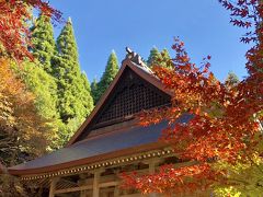 石道寺　拝観料300円　午前9時～午後4時
己高山麓にある真言宗豊山派の寺。平安末期の作と伝えられる本尊の十一面観音像は国指定の重要文化財です。
鶏足寺から、歩いて行くことができます。
