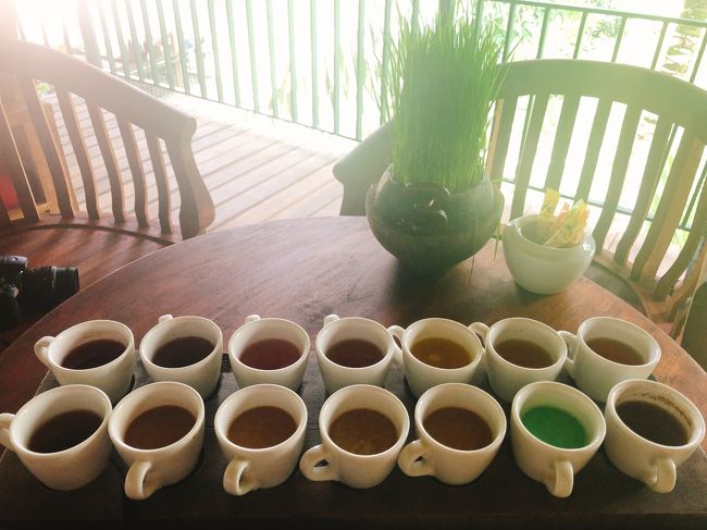 続いて、14種類のコーヒーとティーを試飲できる場所へ連れていっていただきました。この時、急に体調が悪くなり、ちゃんと味わえなかったのが残念です…。