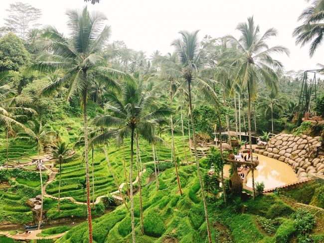 ライステラスが一望できます。美しいです。大きなブランコに乗ってる人がいました。