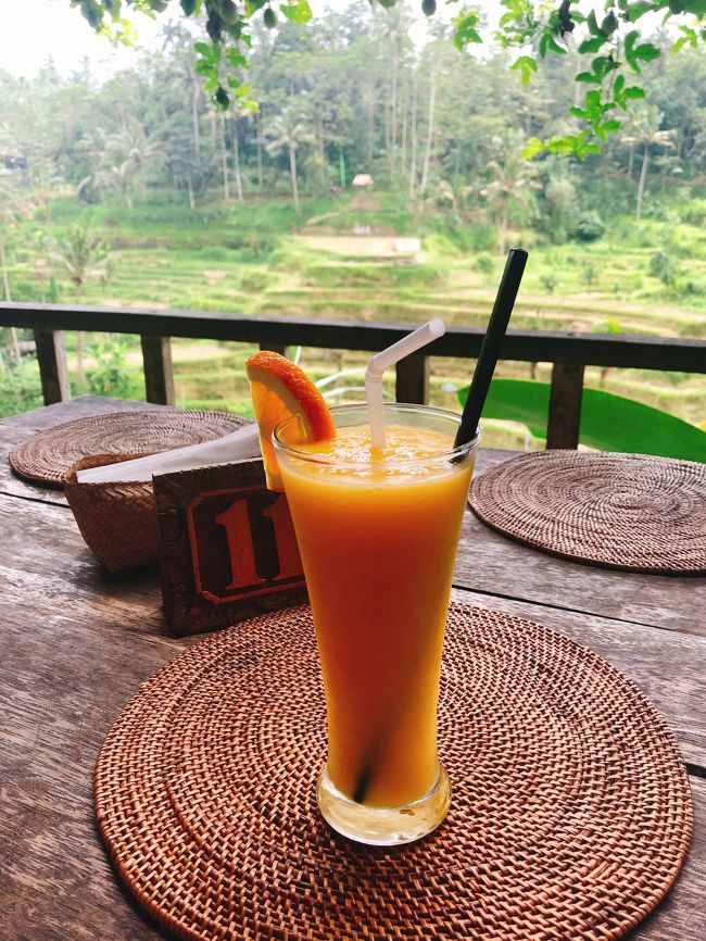 ライステラスを眺めながら昼食。しかしまだ体調が戻らず…。<br />マンゴージュースがおすすめとのことだったので頼んでみました。<br />甘くて癒されます。
