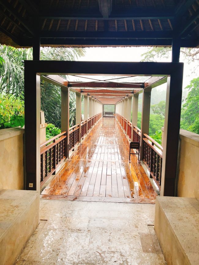 カーチャーターを予約するときに、どうしてもここに行きたいと追加してもらった、Four Seasons Resort Bali at Sayan　の「Jati bar」です。<br />入口は橋のようになっています。