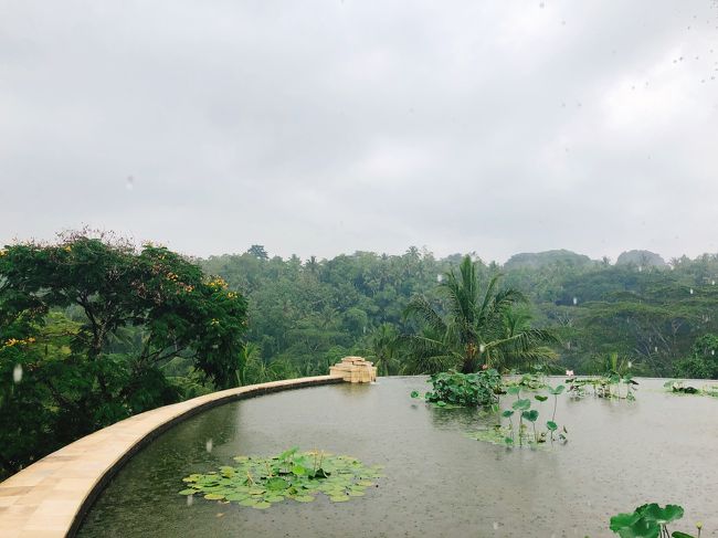 橋を渡り終えたら、このような景色が見えます。