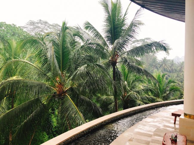 こんな景色を見ながらお茶できるなんて最高です。