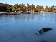 毛越寺大泉が池

一面凍っていてとても美しかったです