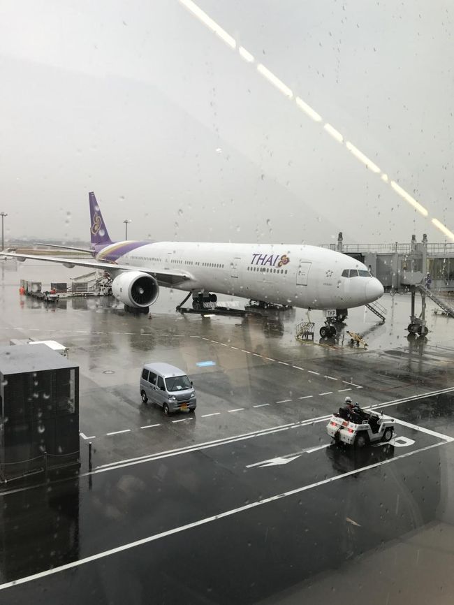 覚えてないけど出発の時は雨が降ってたみたい。<br />きっとあの機体に乗って行くよ～。