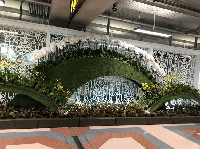 確か飛行機降りて通路を歩いてる時の写真。大興奮です。笑