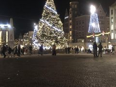 ダム広場

ヨーロッパでは、クリスマスを過ぎて年を越してもツリーをあらゆるところで見ます。