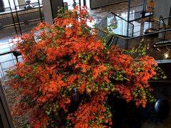 タイ４日目…おはようございます！