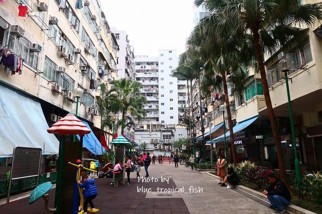 住んでいる人も大陸から来ている中国人が多い感じ。真ん中は公園になっているので、娘をここでまずは遊ばせました。