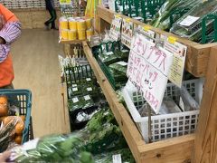 暖かい地方です。二月でも野菜は豊富にあります。タンカンがおいしい！
