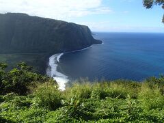 次に訪れたのはワイピオ渓谷。雄大な風景です。
かつてワイピオ渓谷は王族の地で、崖の洞穴には多くの王達が埋葬されているそうです。今でも50人程度が暮らしていて、タロイモの栽培や漁業で生計を立てているらしいです。