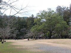 大鳥居から参詣道を通ると、「大斎原（おおゆのはら）」。
明治時代まで熊野本宮があった場所で、この一帯ではもっとも神聖な場所とされているところです。