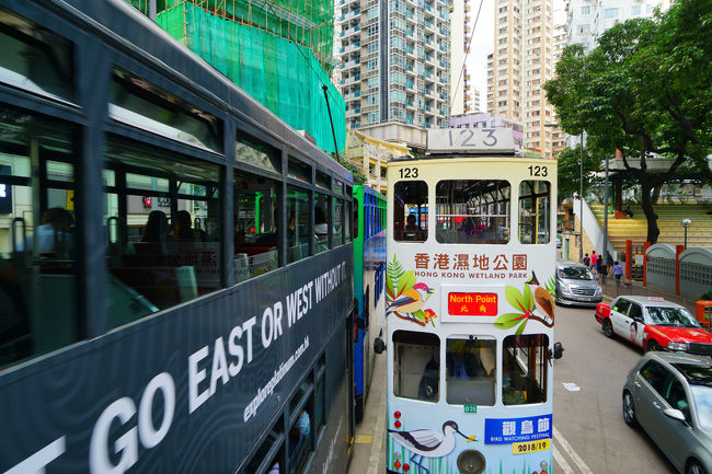 窓から手を差し出すとタッチが出来そうな距離です。