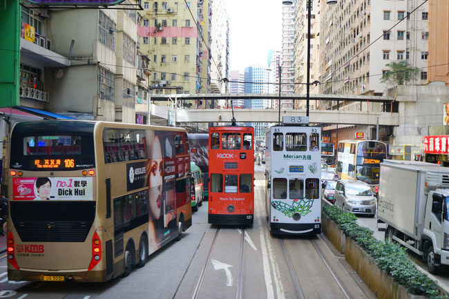 トラムもバスも２階建です。
