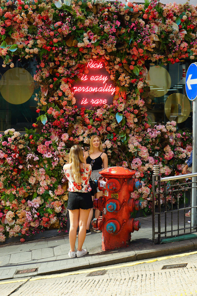 花に包まれた建物と消火栓のコントラストが面白くカメラを構えると、若い女性がスナップしていました。