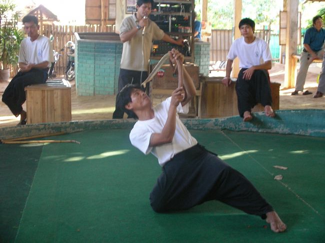 ショーが始まった。音楽もロック調だし口上もノリがいい。３人の男たちが入れ替わり立ち替わりヘビとデンジャラスな駆け引きを繰り広げる。毒蛇を挑発し、咬もうとして向かってくる鎌首を闘牛士のように瞬時にさける。<br />