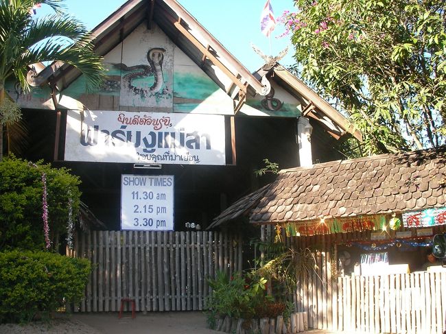 メーリム地域にある「スネークファーム」と「オーキッドファーム」に行くことにした。<br />ワット・チェンマン寺院の境内にとまっていたソンテウに値段交渉すると、初めは400Bと言っていたが、提携している土産屋に２軒立ち寄ることを条件に300Bにしてくれた。<br />30分程走ってメーリムエリアに入ると、路肩に車を止めてドライバーがオレンジを10個ほど買ってくれた。このオレンジ、カルフォルニアオレンジの比ではない甘さだった。２軒の土産屋は何れも絨毯屋でトルコ系の男が対応した。ドライバーは「５分でいい、買わなくていい、立ち寄った証のスタンプが欲しいだけだから・・・」と言っていたし、こちらとしてもタイでトルコ絨毯を買う気はさらさらなかった。<br />それぞれ５分づつ滞在して、いざスネークファーム(200B)へ。<br />タイミングよく、15分後の15:30ショーが始まる。到着時間が遅れていたら、ショーを見ないで、ただヘビを見るだけに終わったので、実にラッキーだった。ラッキーがやたら続く!!<br />