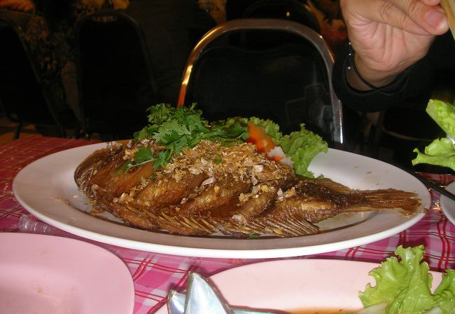 シーフードの一軒の店に入り、魚の揚げ物など数品をオーダーした。ひっきりなしに客が入ってくる。シンハビールが口になじんできた。<br />帰りトゥクトゥクでターベ門に戻った。（40Bを20Bにさせた。値切り交渉にも慣れてきた。）<br />