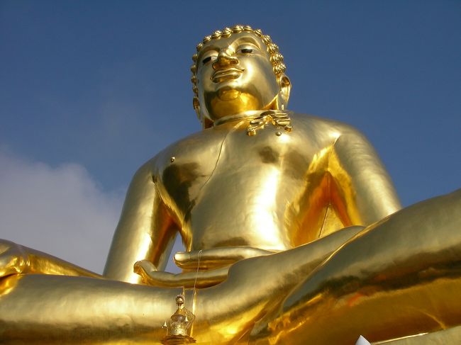 青い空に黄金色が映える。