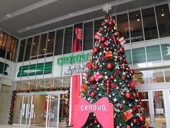 　今回の出発はJR静岡駅から少し離れた静岡鉄道のターミナル。
商業施設セノバの一角に高速バスなどが発着するバスターミナルがある。
ちょうど、クリスマスデコレーションで華やか。