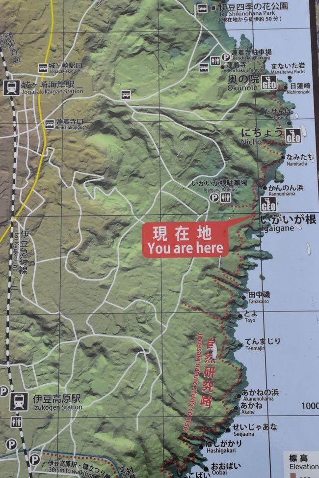 赤沢温泉郷とポットホールの宝物 海と一体化する露天風呂と球体の石 伊豆高原 伊豆高原 静岡県 の旅行記 ブログ By かっちんさん フォートラベル
