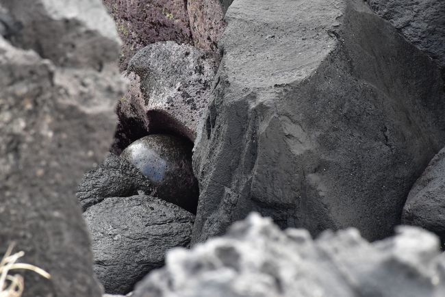 赤沢温泉郷とポットホールの宝物 海と一体化する露天風呂と球体の石 伊豆高原 伊豆高原 静岡県 の旅行記 ブログ By かっちんさん フォートラベル