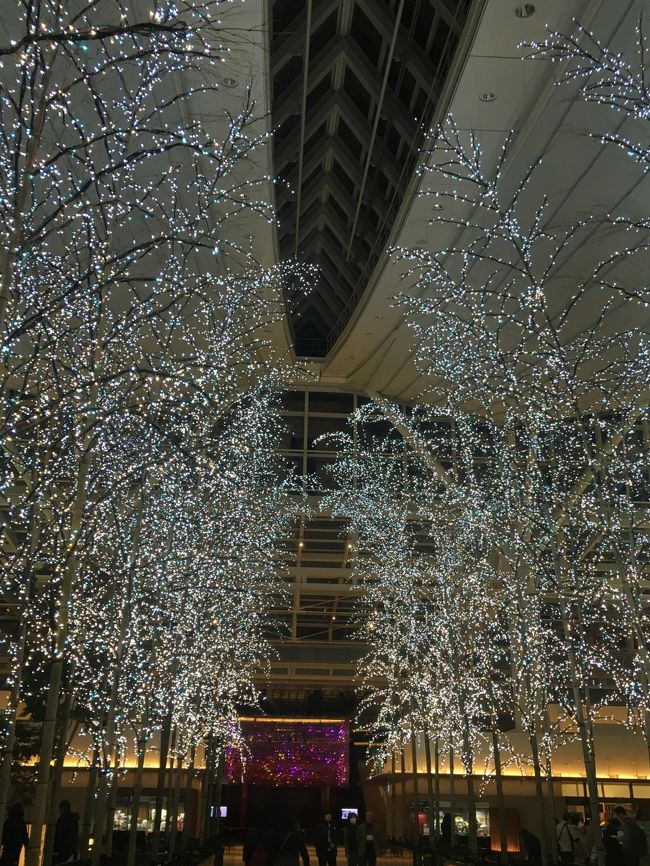 さてと、まずは羽田です。<br /><br />金曜日<br />忙しいから残業してもよかったんだけど、一人でがんばるのもバカらしいので６時半には会社を出て、都営線直通で爆睡して羽田に着きました。<br />まず、送っておいた荷物をピックアップ・・・サクサクと受付に進むと後ろから<br />「並んでるんですけど(~_~メ)」と言われ・・・<br />並んでるように見えなかったんですぅ、ちょっと寝起きで寝ぼけてたんですぅ、普段は横入りなんて絶対しないんですぅ・・・と言いたかったんだけど、完全に、常識無い人と冷たい目で見られてかなり凹む（あぁ、出だしからつまづいた感）<br /><br />平謝りして後ろに着き、荷物を受け取ってから到着階のシャワールームで３０分でシャワーを浴びて、さて、夕飯はどうするか<br /><br />出発階上のレストランを見てみたけど、並んでるし、そんなにガッツリ食べたくないし・・ということで