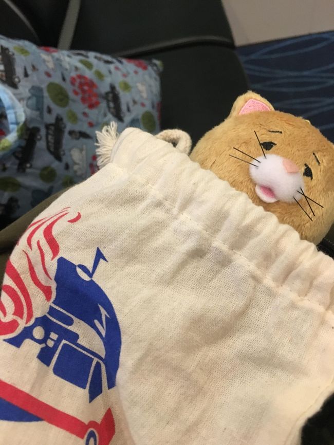 乗り込む前にちょっと荷物整理<br />今回は、ネコノヒーを連れてきました。<br />ネコノヒーは、フォートラmengさんに教えてもらった、癒しいっぱいの猫漫画です。時々意味不明ですが、めっちゃ可愛くて、時々泣く＾＾