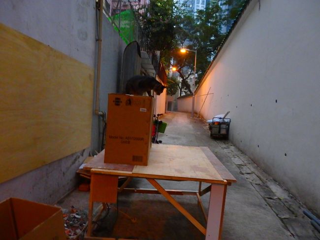 公園横<br />いたいた♪