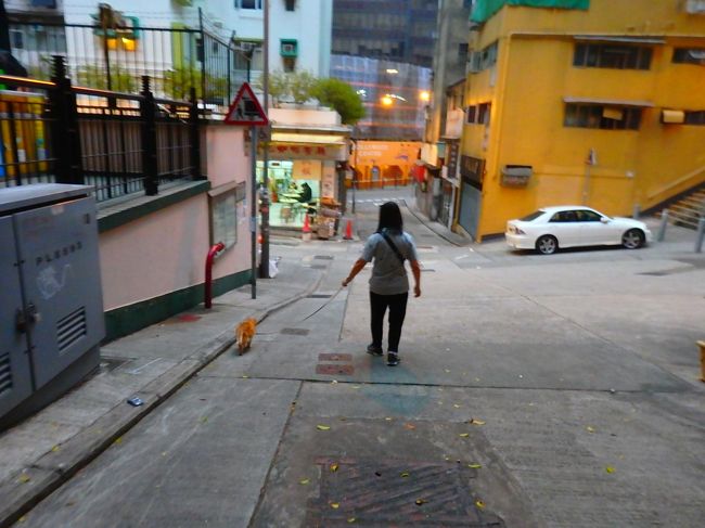 ねこおねえさんのマリーさんによると、亜来は23歳だって！？<br />うむーーー、それはちょっと信じがたいんだけどぉーーー<br />だって散歩のときの足取りはとってもしっかりしてるし、階段上から店が見えると走り出すし＾＾<br /><br />でもまあとにかく、ずっと元気で長生きしてほしいです。本当に！！！