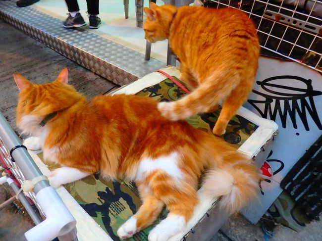 亜宝が先に戻ってた＾＾