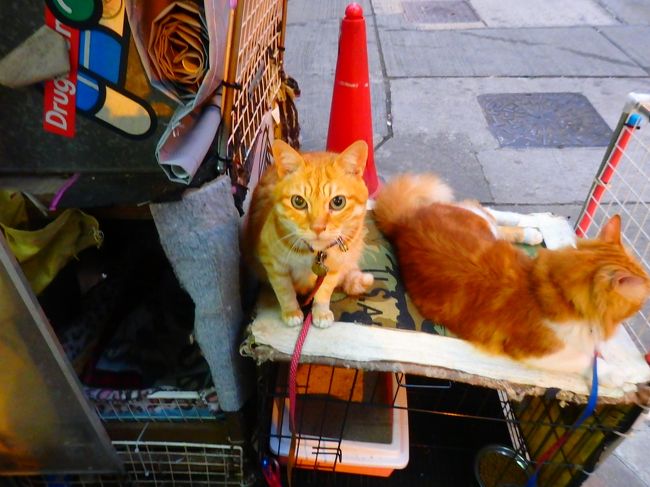うんうん、今日も頑張ったね！！