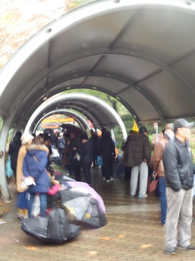 人民広場の入り口で見つけました。世に言う、親が子供の婚約相手を探すというやつです。