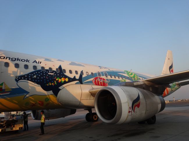 バスで移動し、飛行機に乗り込みます！