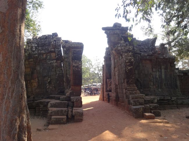 アンコール遺跡群の中で、最初に向かうは「タ・プローム遺跡」<br />東門から入場