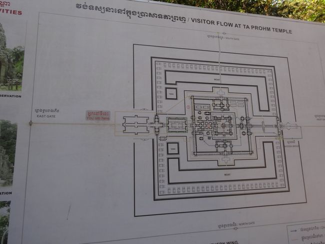 全体図はこんな形