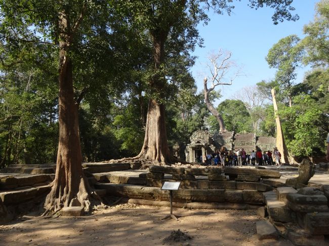タ・プロームは12世紀末に仏教寺院として建立されたもの