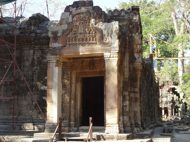 修復も順調に進んでいるみたいですね