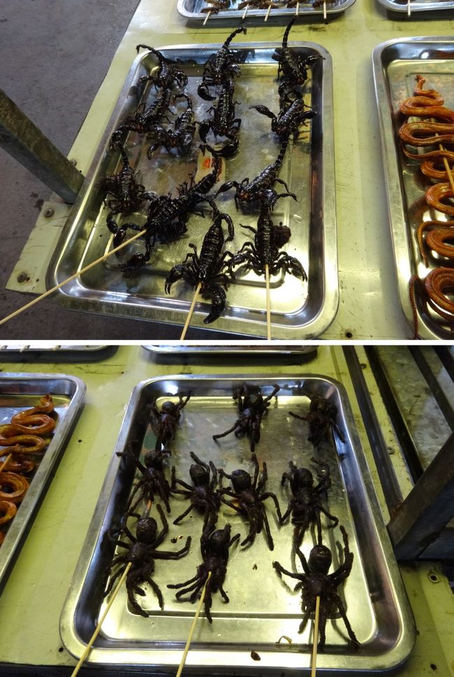 サソリとクモにビックリ！！<br />お試しに食べた方が良かったかしら<br />